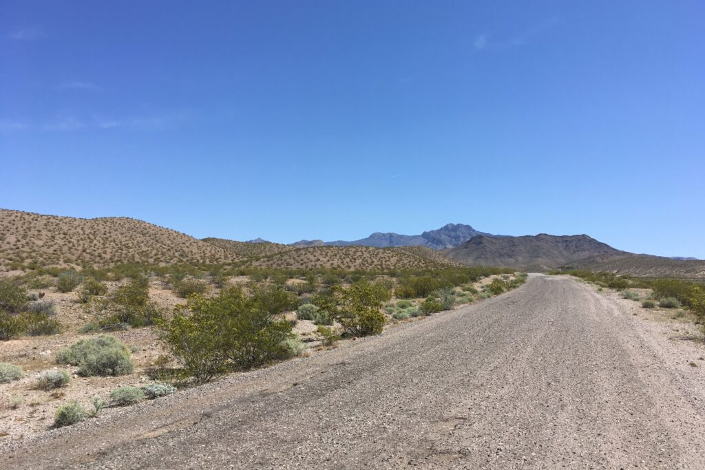 Desert backcountry in Gold Butte National Monument