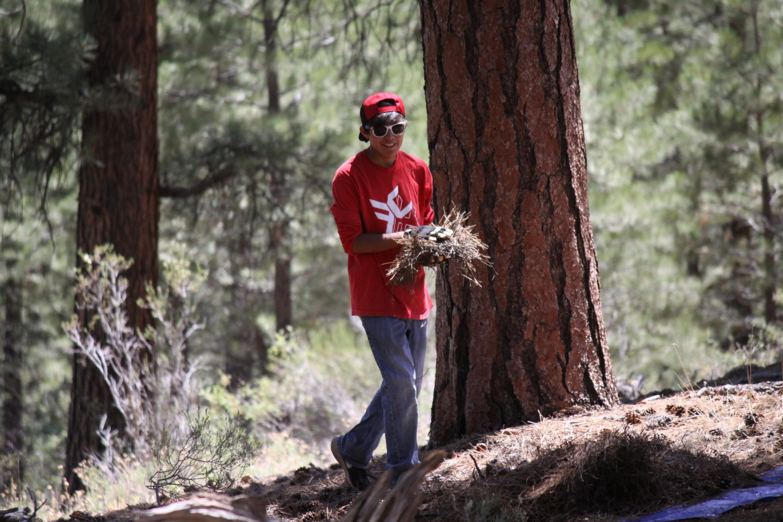 Rock Canyon Fire Grows to 4,823 Acres on the Arizona Strip and North Kaibab Plateau